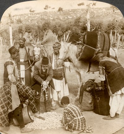 Eksperci skupujący kokony jedwabne na eksport do Francji, Antiochii, Syrii, lata 1900. autorstwa Underwood and Underwood