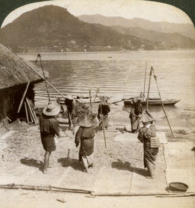 Młócenie jęczmienia na plaży rybackiej na Morzu Śródlądowym, Japonia, 1904. autorstwa Underwood and Underwood