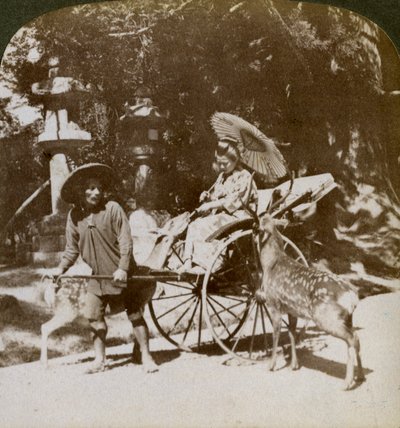 Dziewczyna karmiąca święte jelenie w drodze na modlitwę, teren świątyni Kasuga, Nara, Japonia, 1904 autorstwa Underwood and Underwood