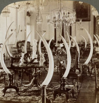 Sala Kłów, w domu Lady de Soysa, Bambalapitiya, Kolombo, Cejlon, 1903 autorstwa Underwood and Underwood