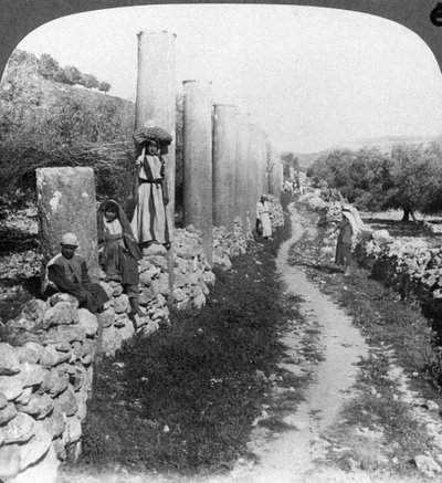 Ulica Heroda kolumn, Samaria, Palestyna Izrael, 1905. autorstwa Underwood and Underwood
