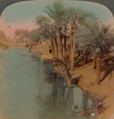 W Fajum, najbogatszej oazie w Egipcie nad rzeką Bahr Yussef Joseph, do Nilu, 1902. Artyści: Elmer Underwood, Bert Elias Underwood. autorstwa Underwood and Underwood