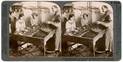 Produkcja jedwabiu, Syria, 1900. autorstwa Underwood and Underwood
