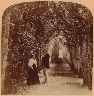 Queen Marys Bower, Hampton Court, Londyn, Anglia, 1896. autorstwa Underwood and Underwood