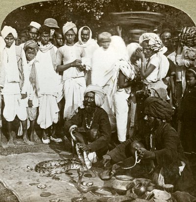Zaklinacz węży, Kalkuta, Indie, ok. 1900. autorstwa Underwood and Underwood
