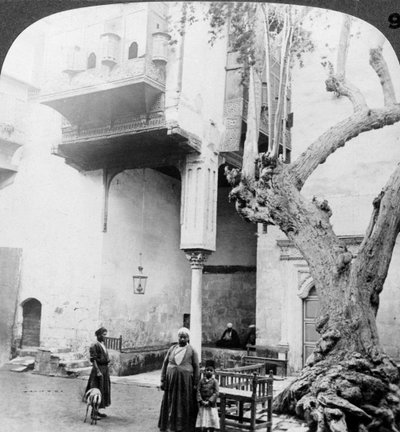 Okna haremu na dziedzińcu zamożnego domu Cairenes, Kair, Egipt, 1905. autorstwa Underwood and Underwood