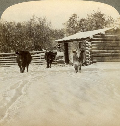 Zima na ranczo, Montana, USA. autorstwa Underwood and Underwood