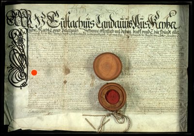 Austriacki patent szlachecki autorstwa Unidentified