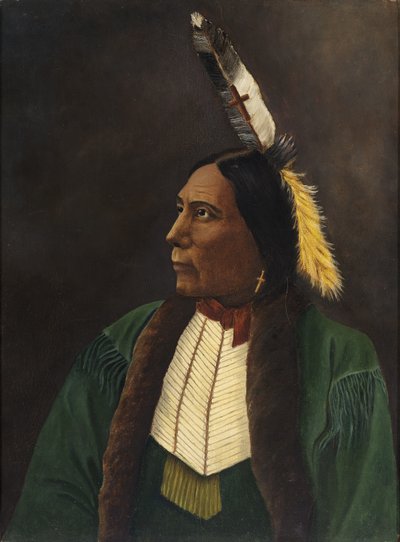 Portret amerykańskiego Indianina autorstwa Unidentified