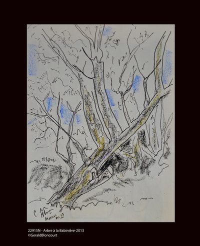 22915N - Drzewo Babiniere-2013 autorstwa Unknown