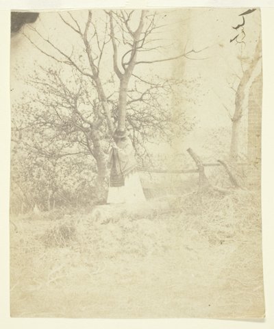 Pani Craik autorstwa Unknown