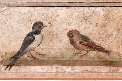 Jaskółka i Wróbel, rzymskie malowidło ścienne z Boscoreale koło Pompei, I wiek autorstwa Unknown