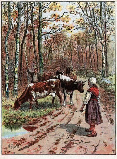 Stado krów. Stado krów. autorstwa Unknown
