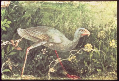 Malowidło ścienne przedstawiające kurę sułtańską w ogrodzie, Pompeje, I w. n.e. autorstwa Unknown