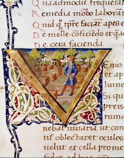Pszczelarz i jego ule (miniaturowe autorstwa Unknown artist