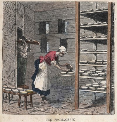Fabryka serów. Ilustracja z XIX wieku. Kolekcja Bianchetti. autorstwa Unknown artist