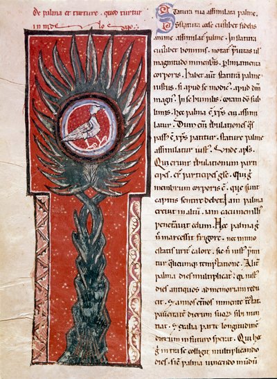 Gołąb gniazdujący na palmie (miniaturowy) autorstwa Unknown artist