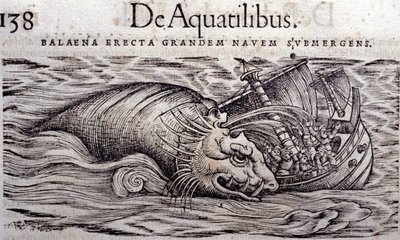 Wieloryb niszczy kadłub łodzi i powoduje jej zatonięcie. Grawerowanie Historia Animalium autorstwa Conrada Gesnera (1516-1565), Tiguri autorstwa Unknown artist