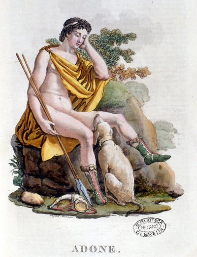 Adonis. Grecki bóg pochodzenia fenickiego. Grawerowanie z XIX wieku. Biblioteca nazionale Braidense. Mediolan autorstwa Unknown artist