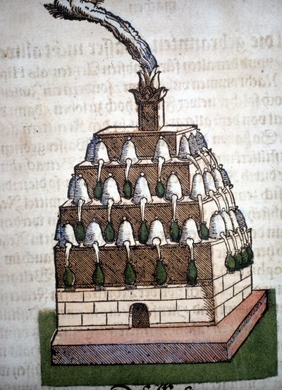 Alchemia: Athanor Four z książki Pietro Andrea Mattioli (Matthiole) (1500-1577). Frankfurt autorstwa Unknown artist
