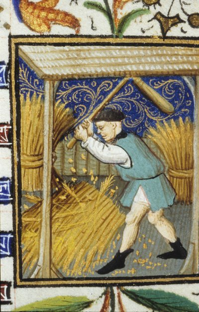 Alegoryczne przedstawienie sierpnia. Chłop bijący pszenicę. Miniatura rękopisu z XIV wieku. autorstwa Unknown artist