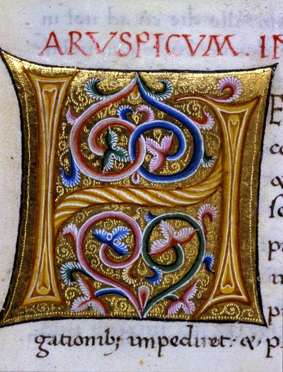 Alfabet: zminiaturowana litera H autorstwa Unknown artist