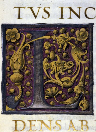 Alfabet: zminiaturowana litera L autorstwa Unknown artist