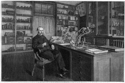 Alphonse Milne Edwards (Milne-Edwards autorstwa Unknown artist