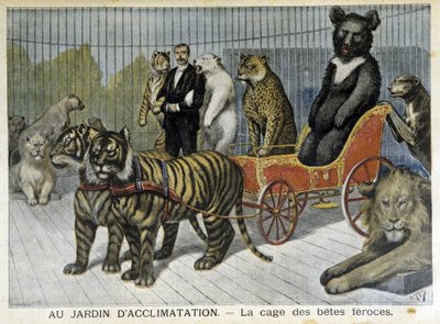 W ogrodzie aklimatyzacji: klatka dzikich bestii - w „Le Petite Journal” z dnia 06.02.1895 autorstwa Unknown artist