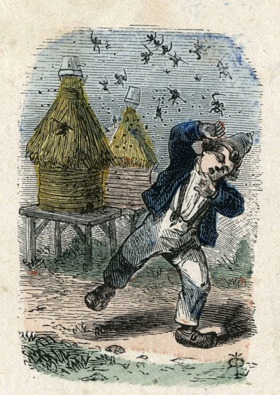Pszczoły atakują dziecko w pobliżu ula. Ilustracja XIX wieku. Kolekcja Bianchetti autorstwa Unknown artist