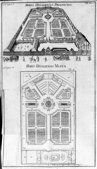 Ogród Botaniczny - perspektywa i plan HORTI UPSALIENSIS. autorstwa Unknown artist
