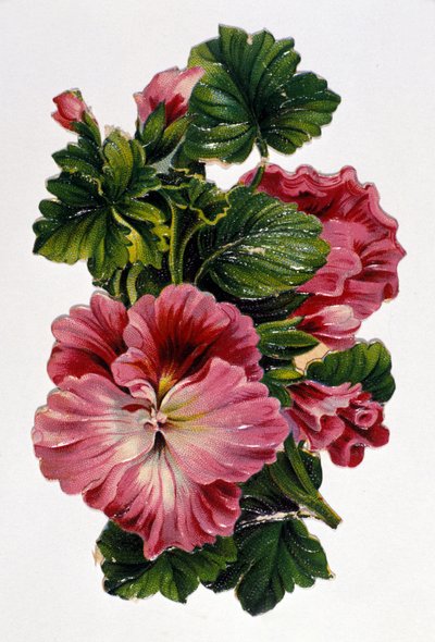 Bukiet kwiatów. XIX-wieczna chromolitografia. autorstwa Unknown artist