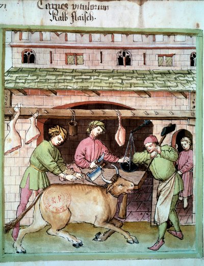 Rzeź: rzeź wołu. Oświetlenie z doju medycyny i dietetyki „”Tacuinum sanitatis”” autorstwa Unknown artist
