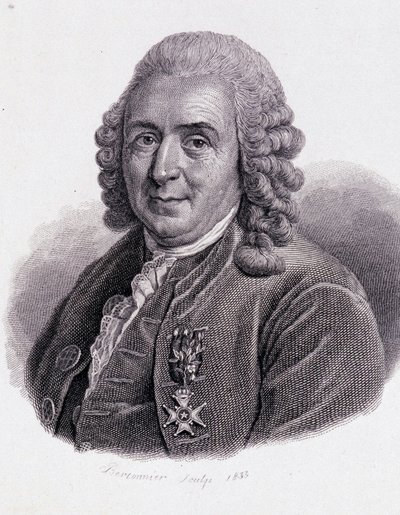 Carl Von Linné Szwedzki przyrodnik i pisarz (1707 - 1778) - w „Portrecie pożytecznych ludzi”” autorstwa Unknown artist