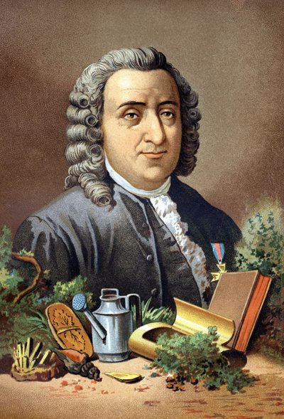 Carl Von Linné Szwedzki przyrodnik i pisarz (1707 - 1778) według „Nauka i jej ludzie” Louisa Figuiera. Barcelona 1881 autorstwa Unknown artist