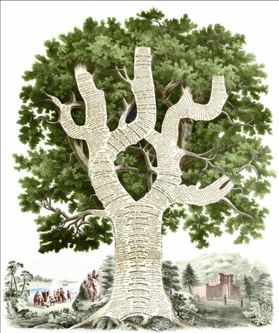Chronologiczny wykres historii Ameryki poświęcony przez wydawcę mieszkańcom Stanów Zjednoczonych. Grawerowanie v. 1881. autorstwa Unknown artist