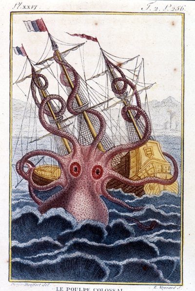 Ośmiornica kolosalna (ośmiornica olbrzymia, kraken) atakująca statek (statek, statek) - grawerowanie książki Pierre