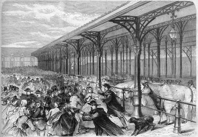 Konkurs tłustej wołowiny na Marche de la Villette w Paryżu. Grawerowanie w „”Wspaniałym Wszechświecie”” autorstwa Unknown artist