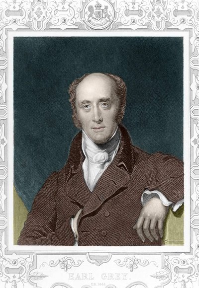 Hrabia Henry George Gray (1812 - 1898) w 1845 r. autorstwa Unknown artist