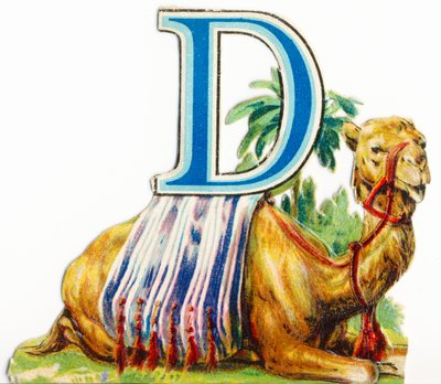 D: Dromader autorstwa Unknown artist