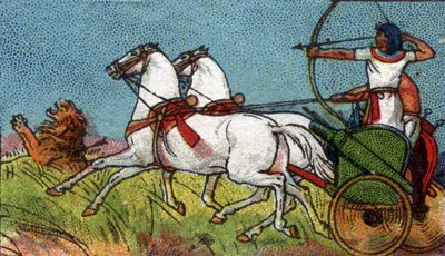 Życie codzienne w starożytnym Egipcie: faraon goniący lwa, początek XX wieku (chromo) autorstwa Unknown Artist