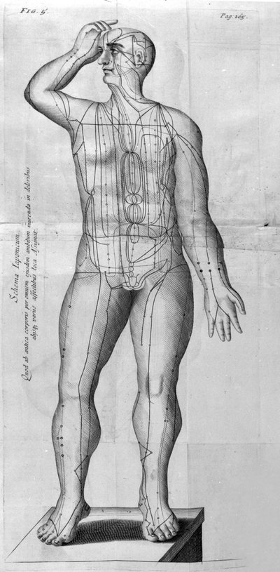 De Acupunctura autorstwa W.Ten Rhijn. Londyn 1683. Pierwszy zachodni tekst dotyczący akupunktury. autorstwa Unknown artist