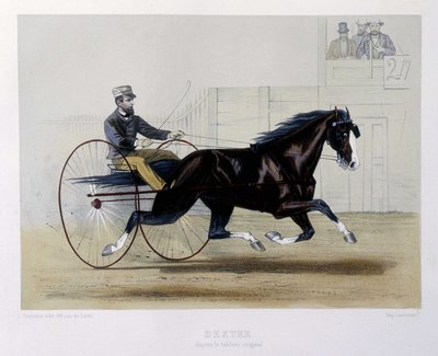 Kłusak Dextera - w „”Centaur”” autorstwa Unknown artist