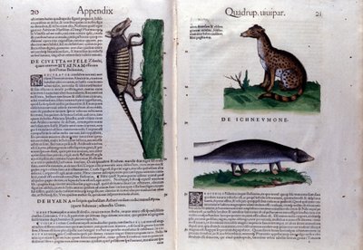 Podwójna strona Historii Animalium Conrada Gesnera (1516 - 1565), Tiguri autorstwa Unknown artist