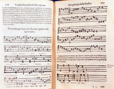 Podwójna strona z The Philosophical Daisy Gregora Reischa (1600) autorstwa Unknown artist