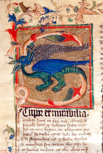 Dragon Decoree Lettrine Fragment rękopisu z XIV wieku autorstwa Unknown artist