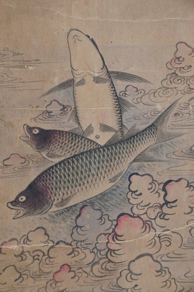 Eohaedo autorstwa Unknown artist