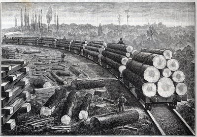 Eksploatacja lasów Stanów Zjednoczonych. Koleje tymczasowe z drewnianym torem. Wagony przewożące pnie drzew. Grawer w „”La Nature”” autorstwa Unknown artist