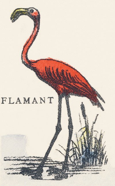 F: flaming autorstwa Unknown artist