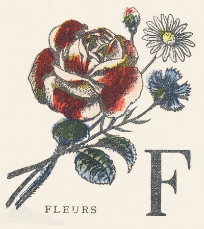 F: kwiaty autorstwa Unknown artist